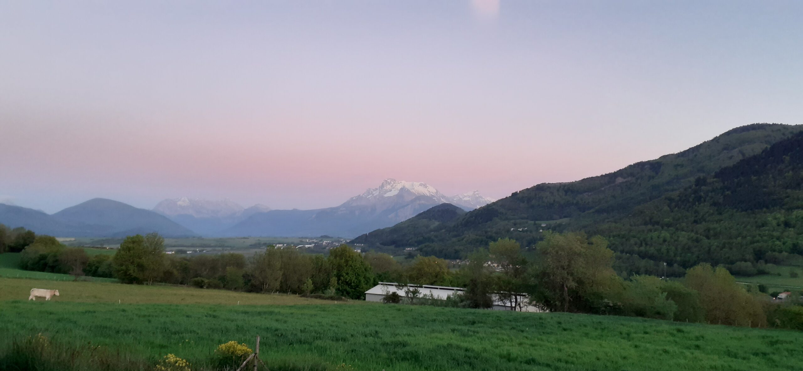 20210527 212052 Scaled