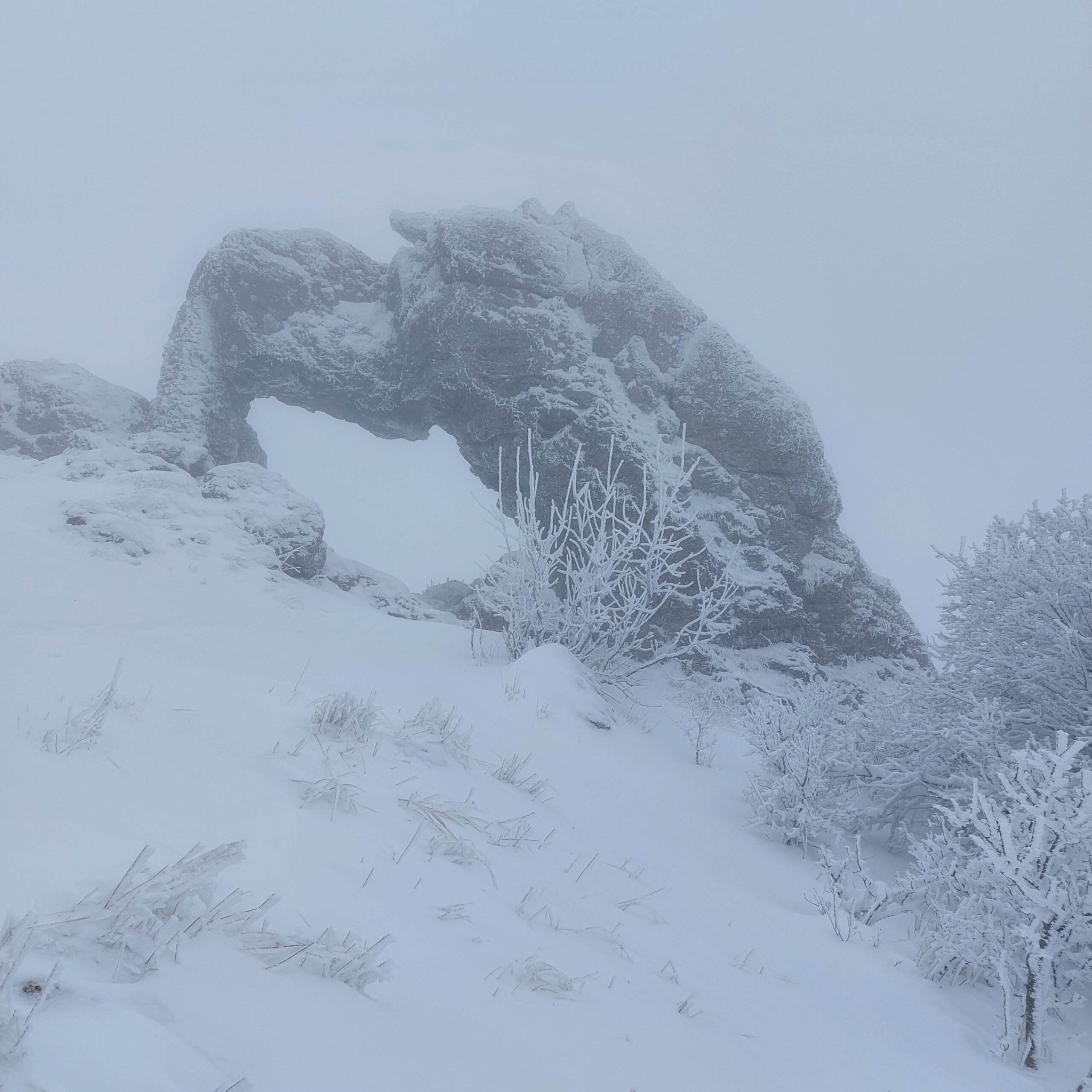 20240108 140247 Scaled