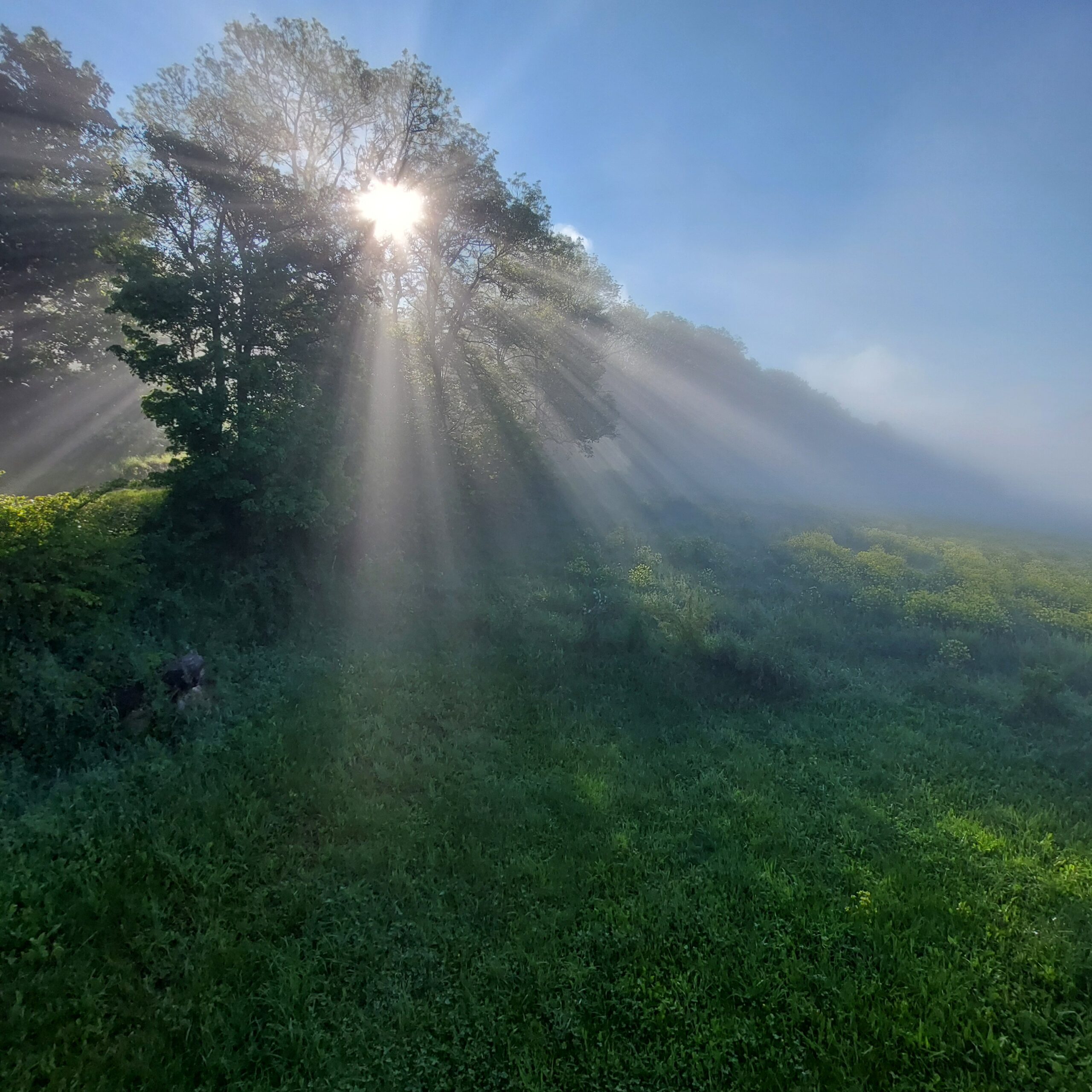 20240525 081820 Scaled