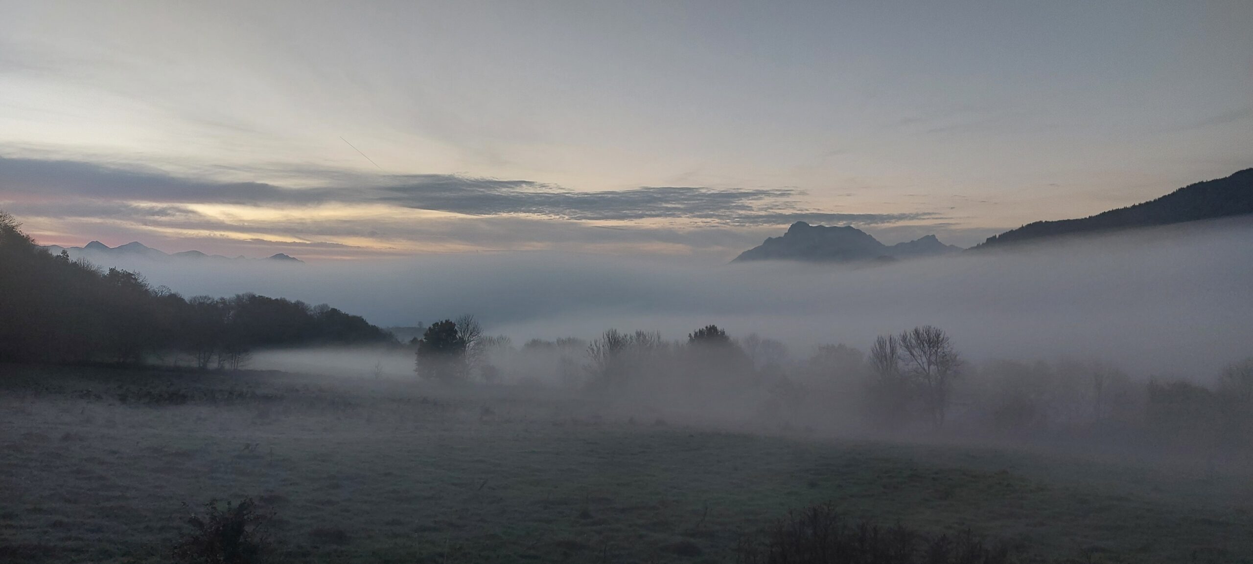 20241108 071219 Scaled