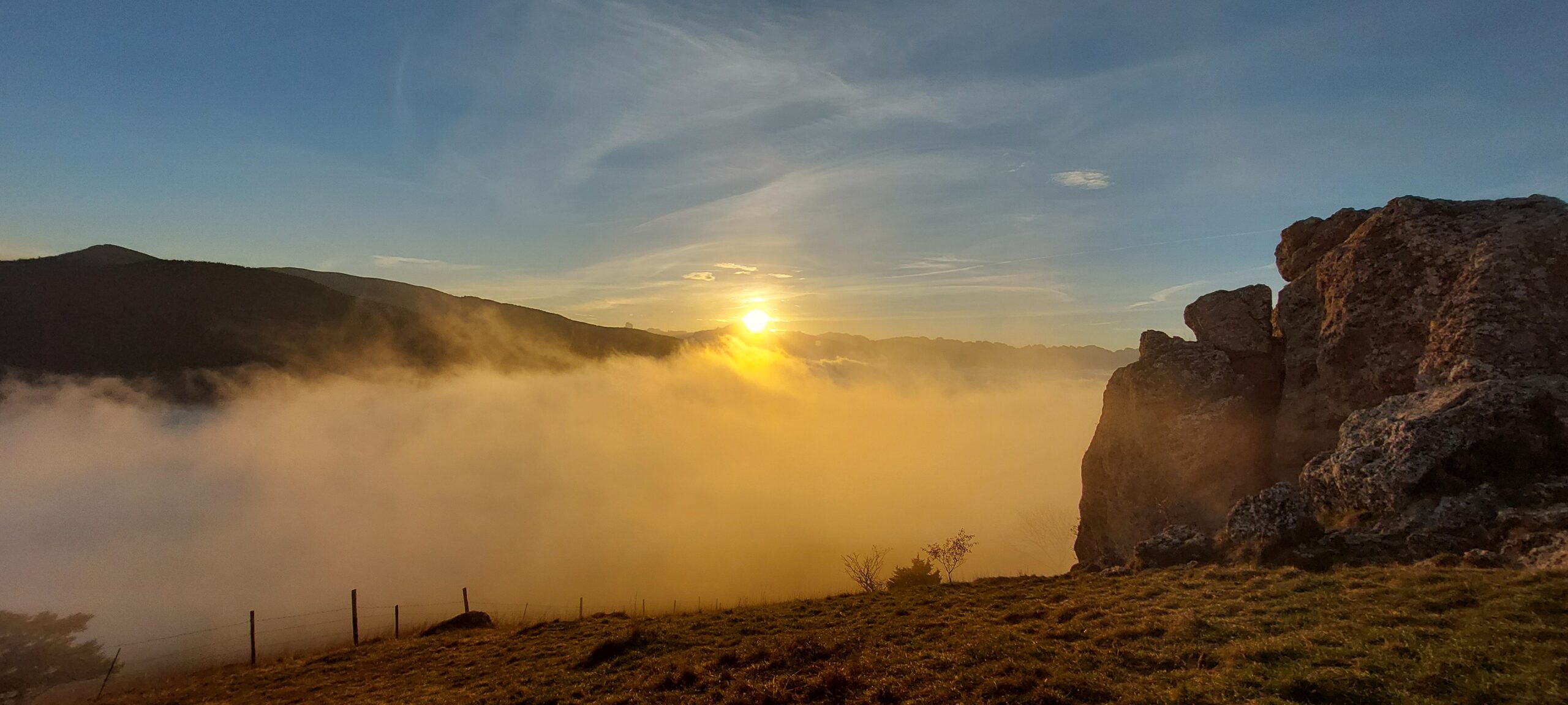 20241110 164939 Scaled