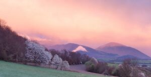 20230423 202340 300x153